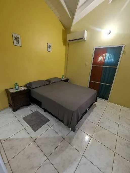 Kemetic Estate'S Entire Main House Villa Castries Tatil Evi